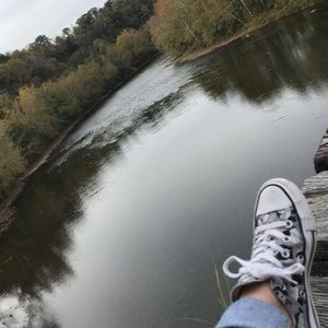 Meet your Posher, Shannon